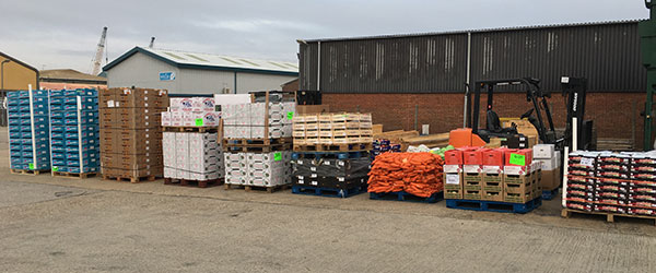 Fresh from Wholesale Market — Exported with Speed and Precision