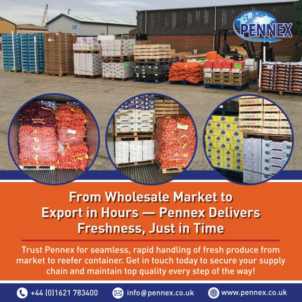 Fresh from Wholesale Market — Exported with Speed and Precision
